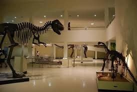 พิพิธภัณฑ์ไดโนเสาร์ภูเวียง (Phuwiang Dinosaur Museum)
