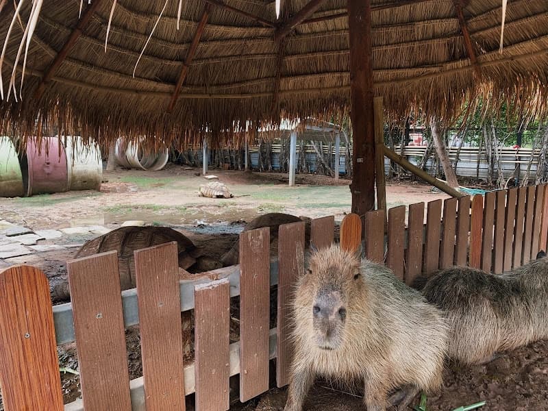 KHONKAEN EXOTIC PET & NIGHT SAFARI