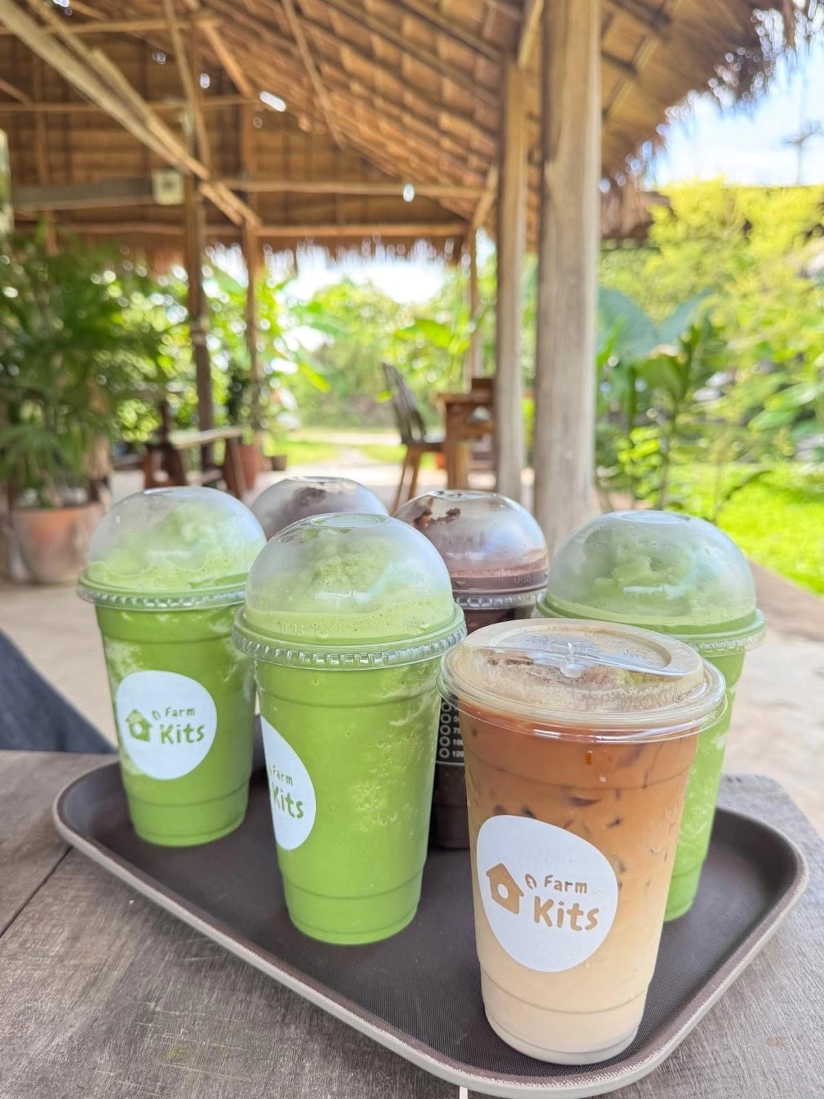 ฟาร์มคิด (FarmKits)