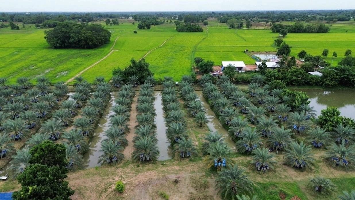 บ้านสวนสายหยุด