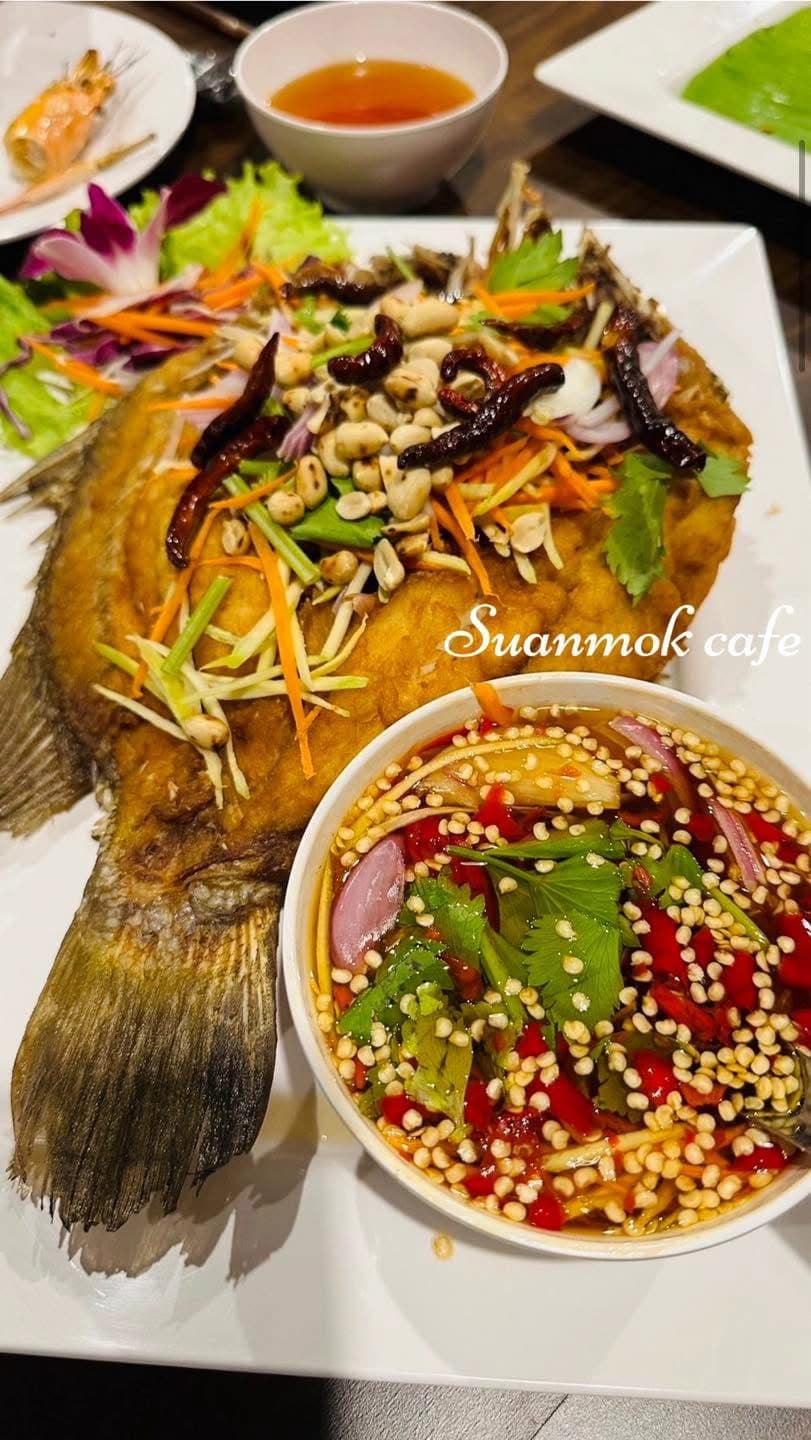 สวนหมอกคาเฟ่
